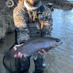 Western NC Fly Fishing Services