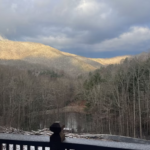 Best Nest Smokies - $75 fee