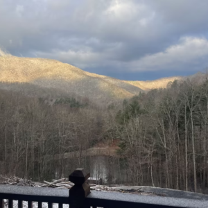 Best Nest Smokies - $75 fee