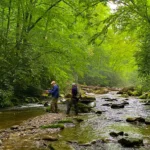Backcountry Fly Fishing - Great Smokies National Park
