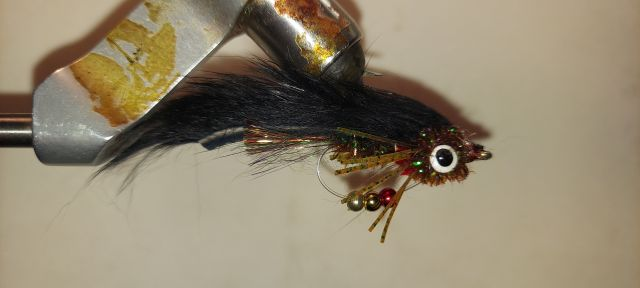 CT Brown Bellydancer Size 1/0