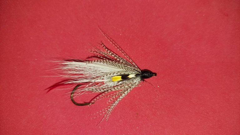 CT Bumblepuppy Size 2
