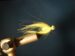CT Chartreuse Craft Fur Minnow Size 4