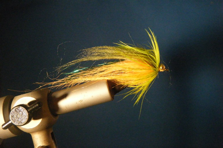 CT Fire Tiger w/Bead Chain Size 6