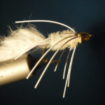 CT Gold Cone White Bunny Size 2
