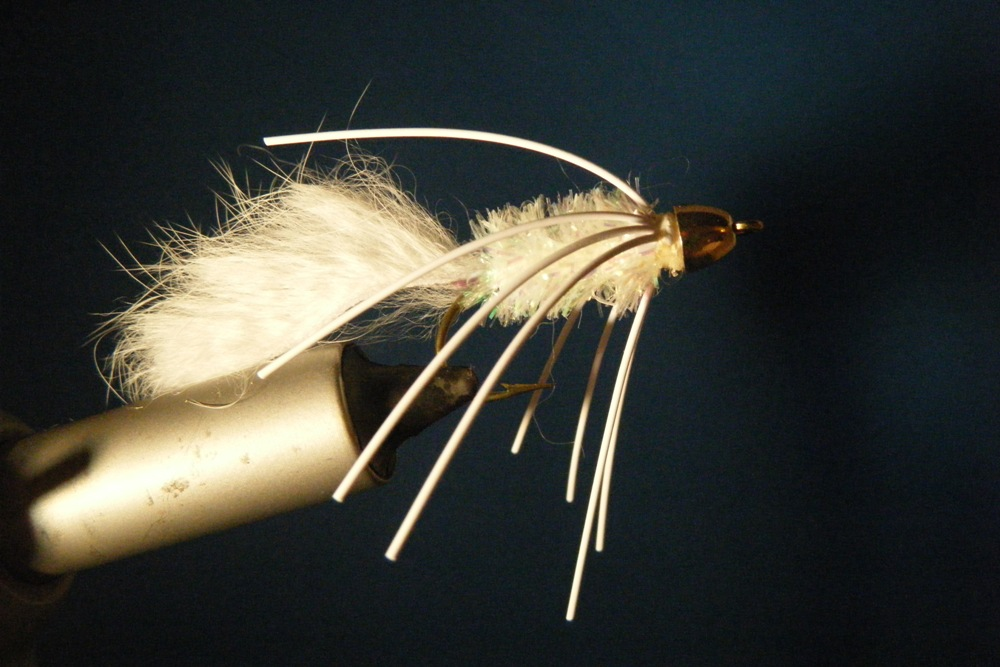 CT Gold Cone White Bunny Size 2