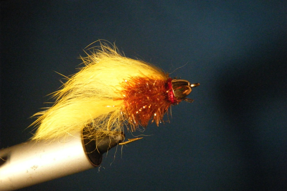 CT Gold Cone Yellow Bunny Size 2