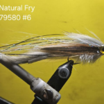 CT Natural Fry