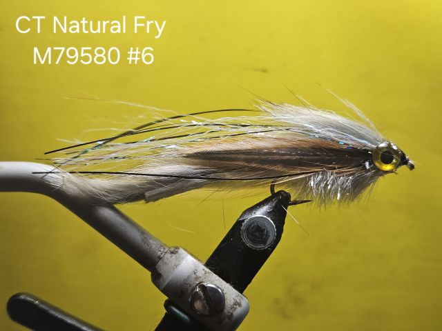 CT Natural Fry