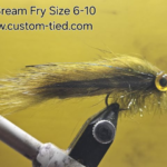 CT Olive Bream Fry