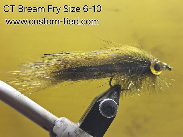 CT Olive Bream Fry
