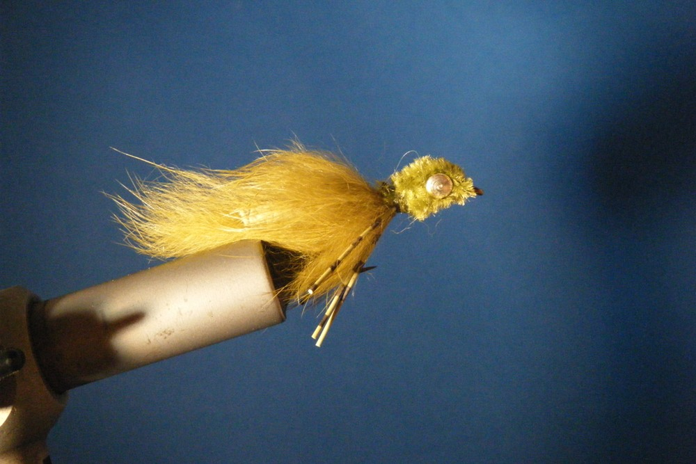 CT Olive Bunny w/Olive Head Size 4