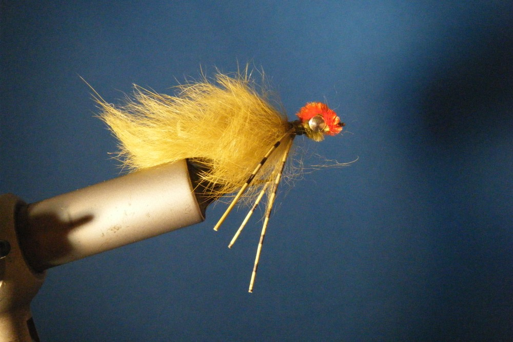 CT Olive Bunny w/Orange Head Size 4