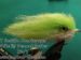 CT Rattlin Chartreuse/White EP Peanut Butter Size 2/0
