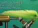 CT Rattlin Chartreuse/White EP Peanut Butter Size 3/0