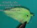 CT Rattlin Solid Chartreuse EP Peanut Butter Size 1