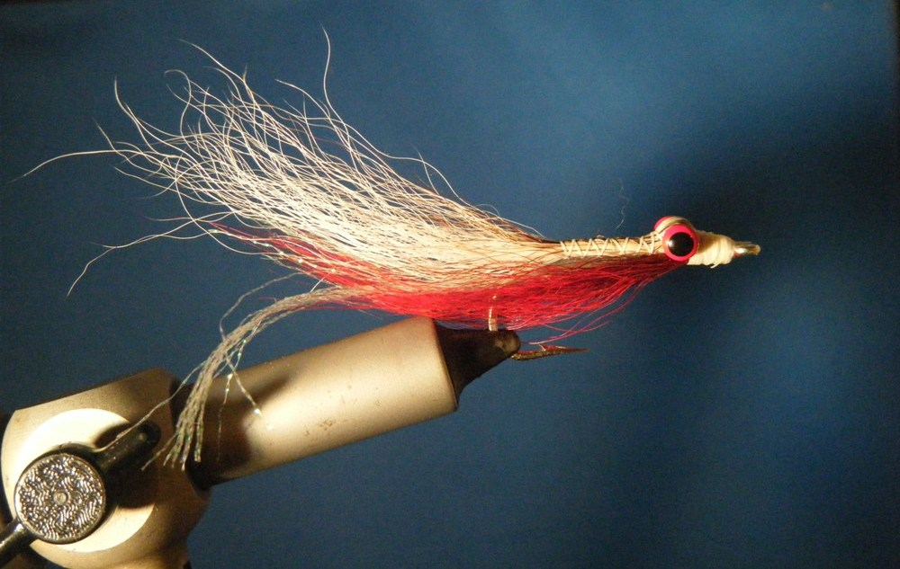 CT Red and White Clouser Size 2/0
