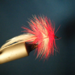 CT Red and White Hackle Fly Size 4