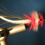 CT Red and White Hackle Fly w/Gold Flash Size 2
