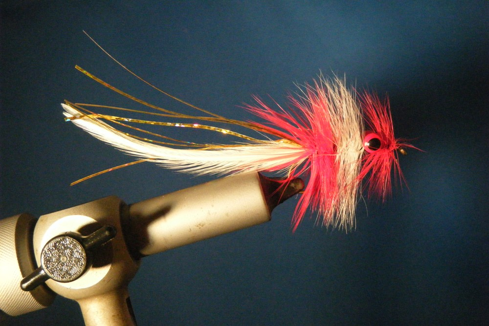 CT Red and White Hackle Fly w/Gold Flash Size 2