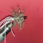 CT White Tailed Grizzly Size 1