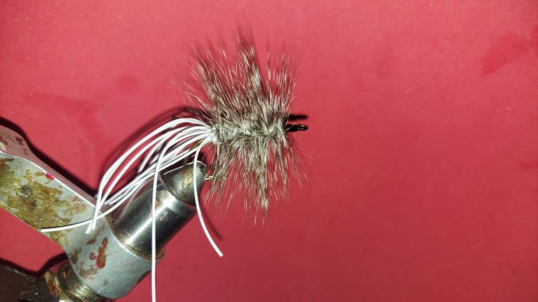 CT White Tailed Grizzly Size 1
