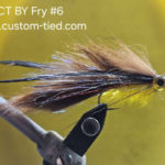 CT Yellow Belly Fry Size Size 6