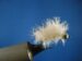 BH Crystal Spawn Size 8