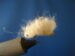 Bread Fly Size 10-14