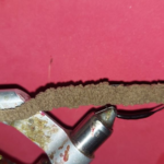 Brown CT Senko Worm Size 1/0