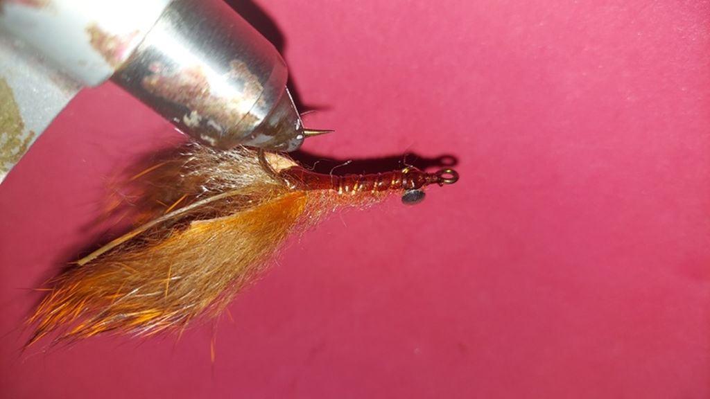 Brown Crayfish Size 2