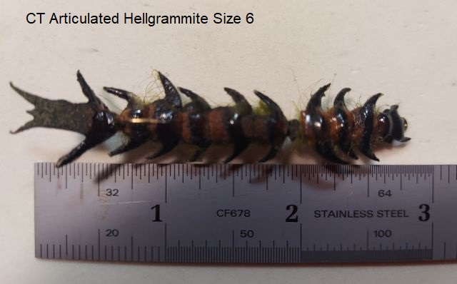 CT Articulated Hellgrammite