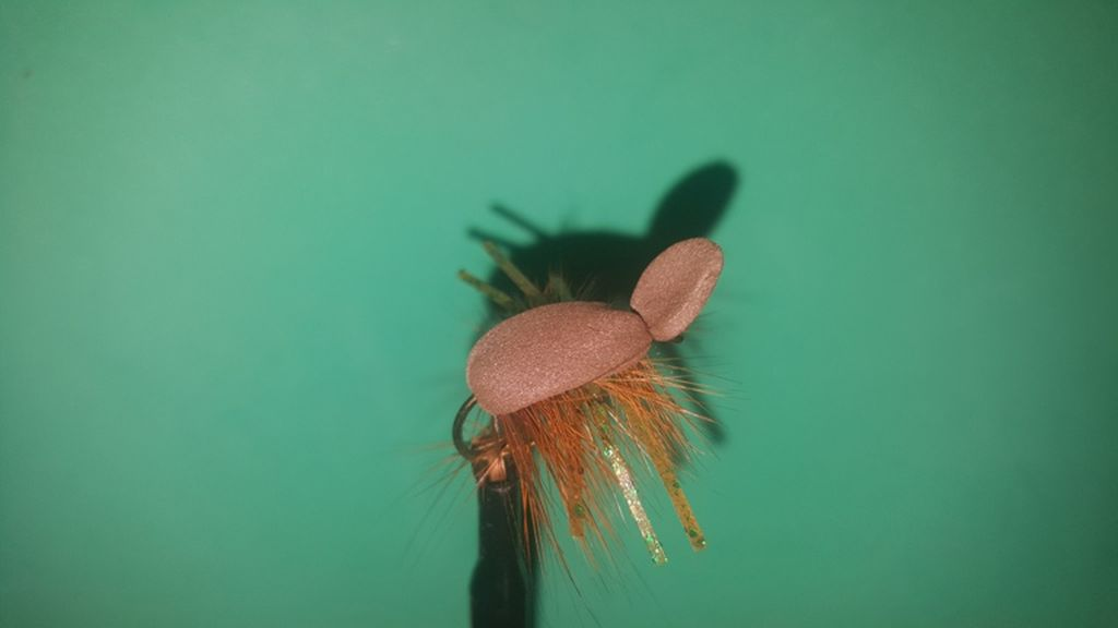 CT Brown Foam Beetle