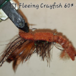 CT Fleeing Crayfish Size 2