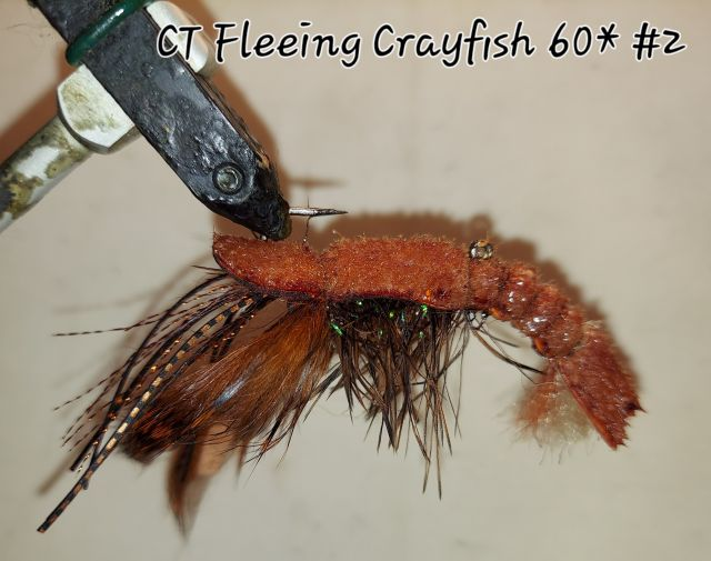 CT Fleeing Crayfish Size 2