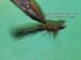 CT New Hellgrammite Size 8