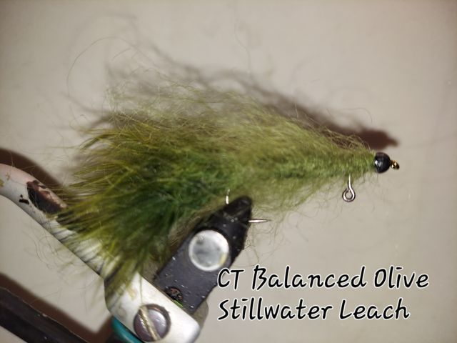 CT Olive Balanced Stillwater Leech Size 4