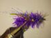 CT Purple Estaz Dragon Nymph Size 6 and 8