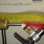 CT Rattlin Juvenile Peacock Bass Size 4/0