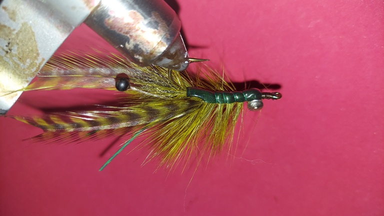 Dark Olive Crayfish Size 2