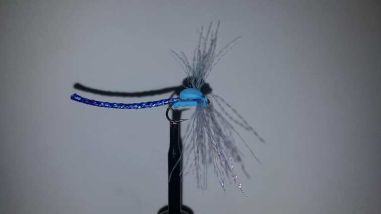 Ext Body Blue Damsel Size 8