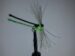 Ext Body Green Damsel Size 8