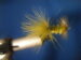 Feather Duster Size 4