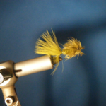 Feather Duster w/Eyes Size 10