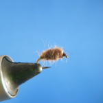 Food Pellet Size 14