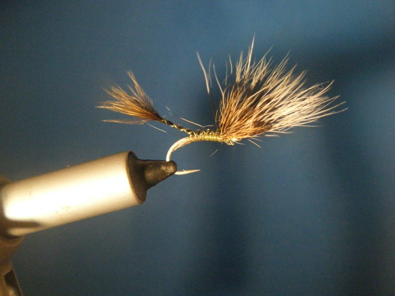 Green Damsel Size 10