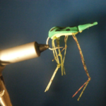 Green Foam Frog Size 2/0