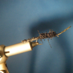 Hellgrammite Size 6