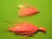 Hot Pink 1/2 oz Banana Head w/Teaser Size 4/0