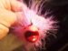 Hot Pink UV 2 oz Size 8/0 and 9/0 Hot Lips